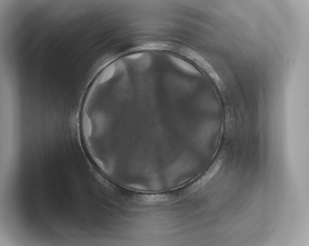 X0000101451425200807280930