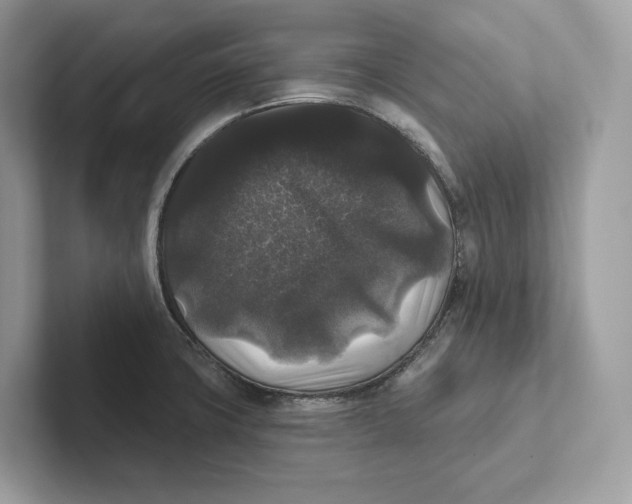 X0000101451427200807280930