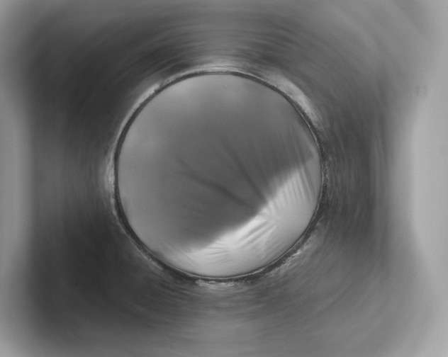 X0000101451428200807280930