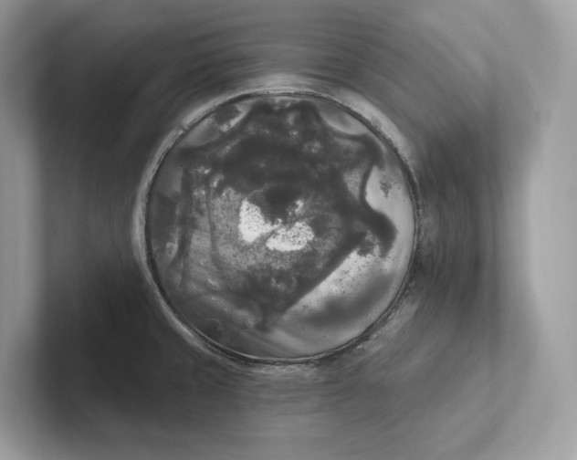 X0000101451429200807280930