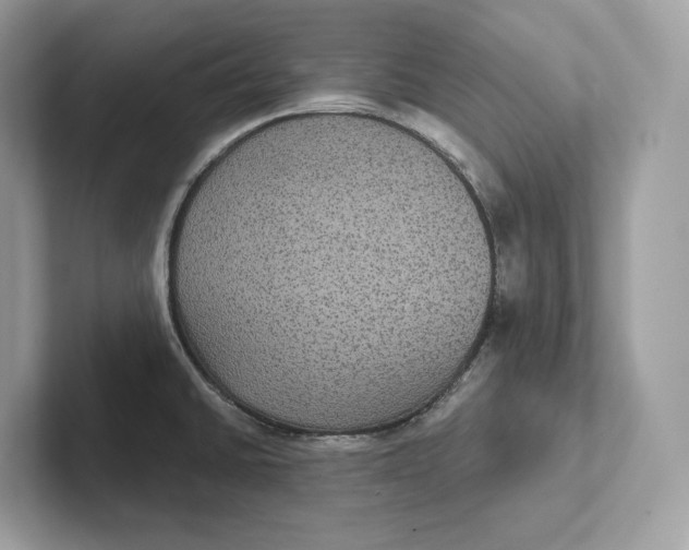 X0000101451430200807280930