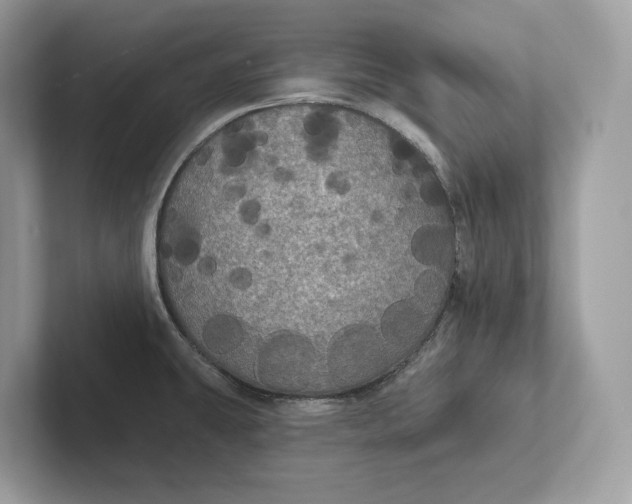 X0000101451431200807280930