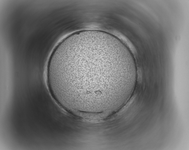 X0000101451432200807280930