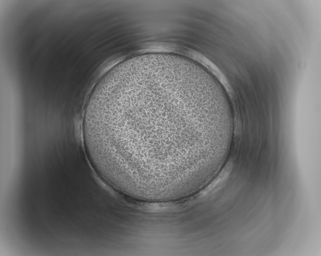 X0000101451433200807280930