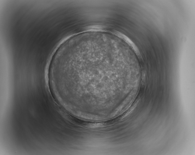 X0000101451435200807280930