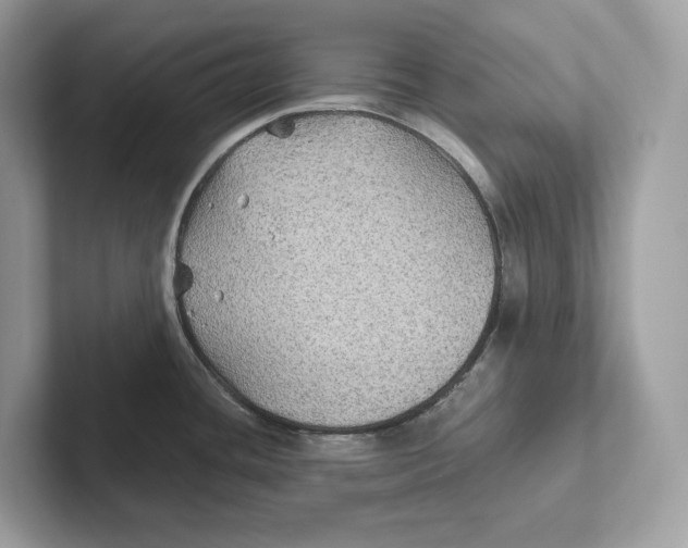 X0000101451436200807280930