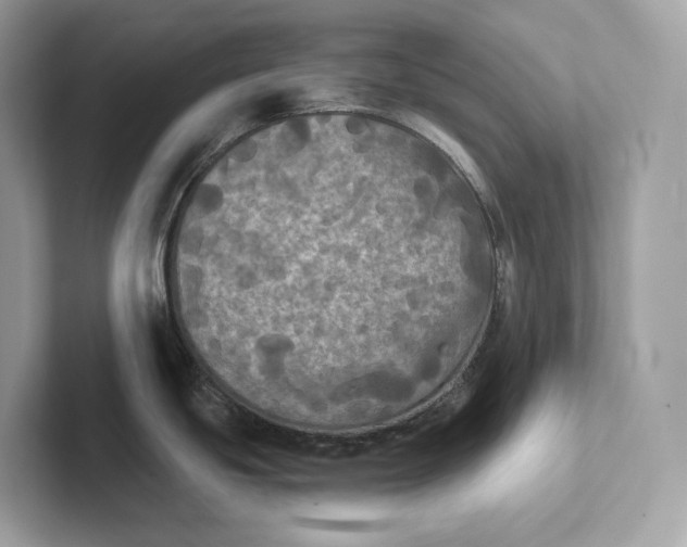 X0000101451439200807280930