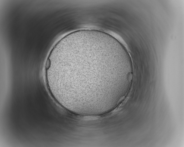 X0000101451440200807280930