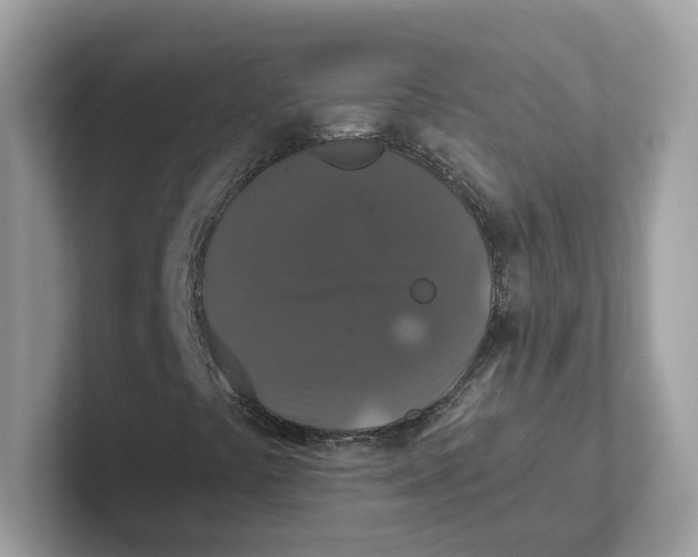 X0000101451441200807280930