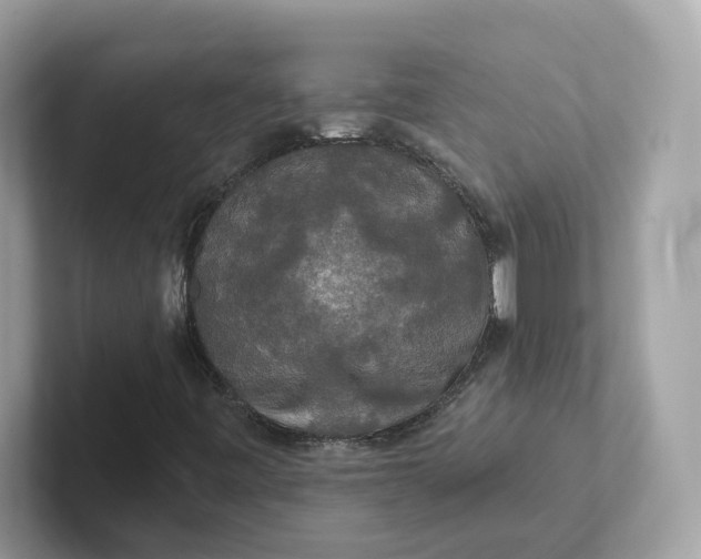 X0000101451443200807280930