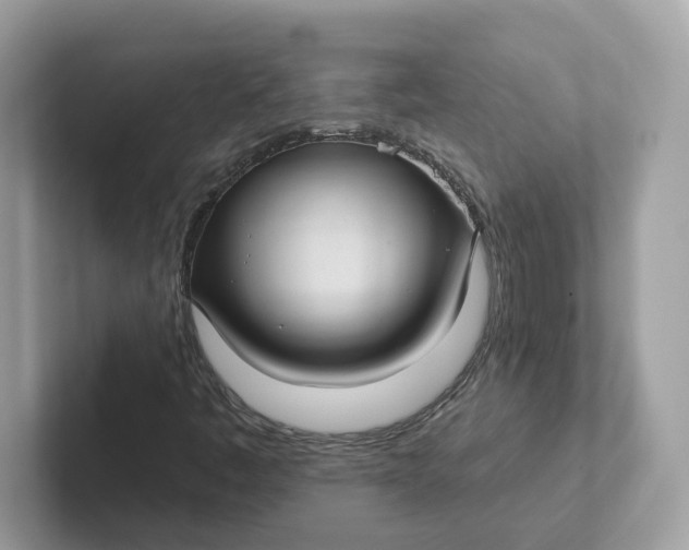 X0000101451445200807280930