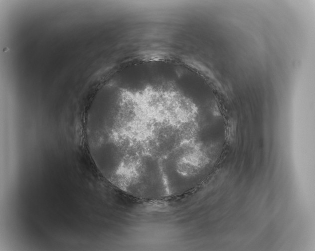 X0000101451446200807280930