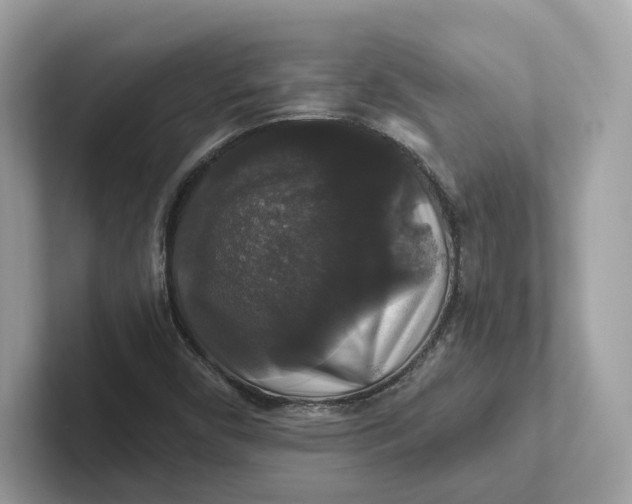 X0000101451450200807280930