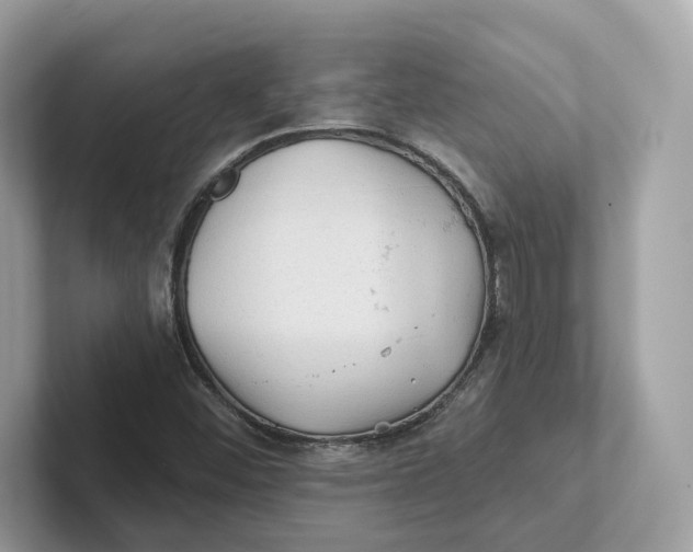 X0000101451452200807280930