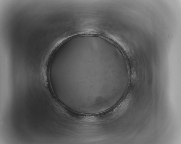 X0000101451455200807280930