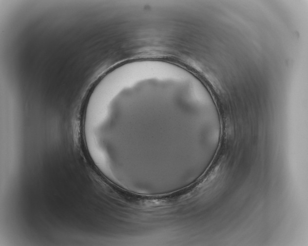 X0000101451459200807280930