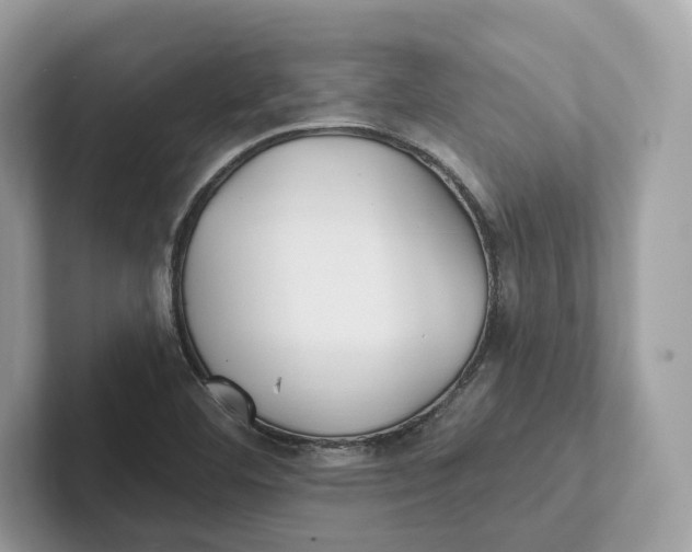 X0000101451460200807280930