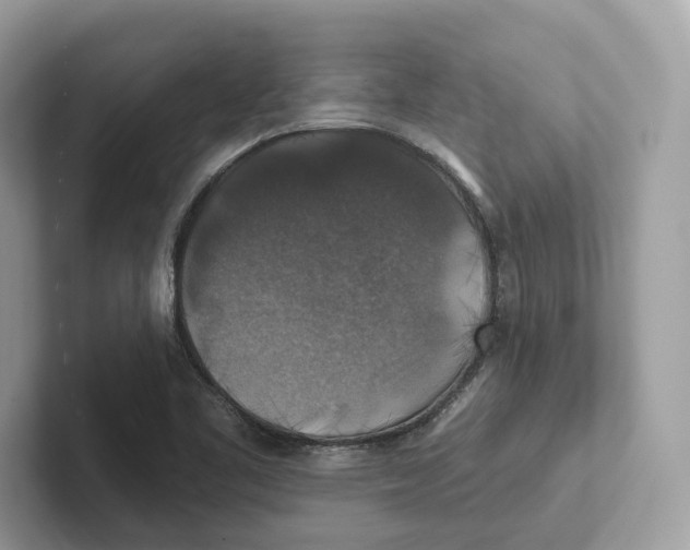 X0000101451461200807280930