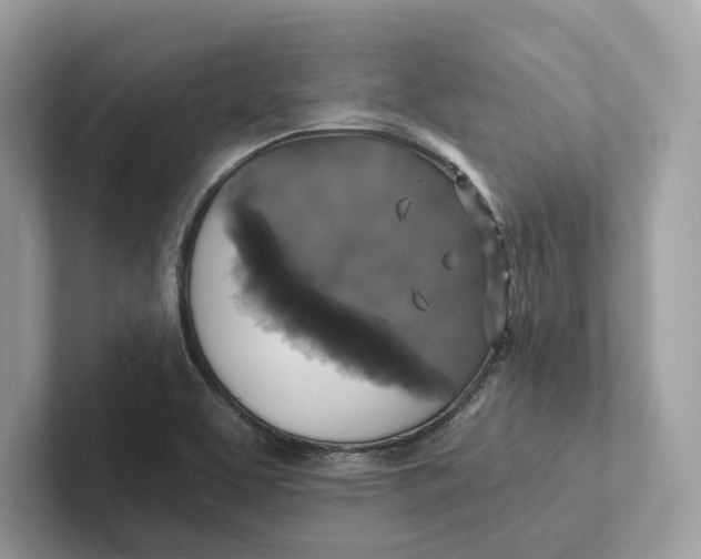 X0000101451463200807280930