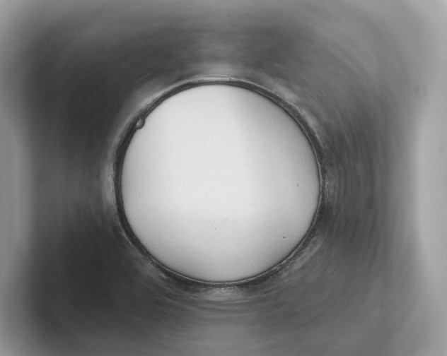 X0000101451464200807280930