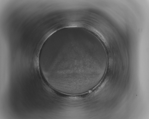 X0000101451465200807280930