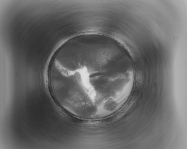 X0000101451466200807280929