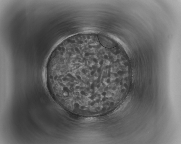 X0000101451467200807280929