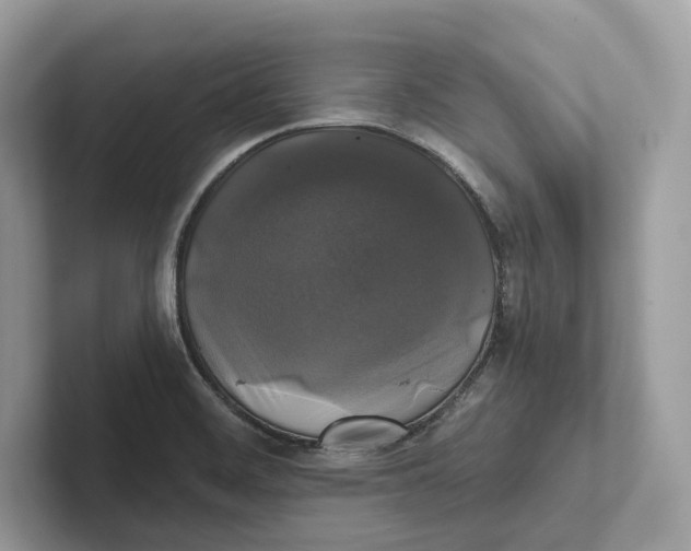 X0000101451468200807280929