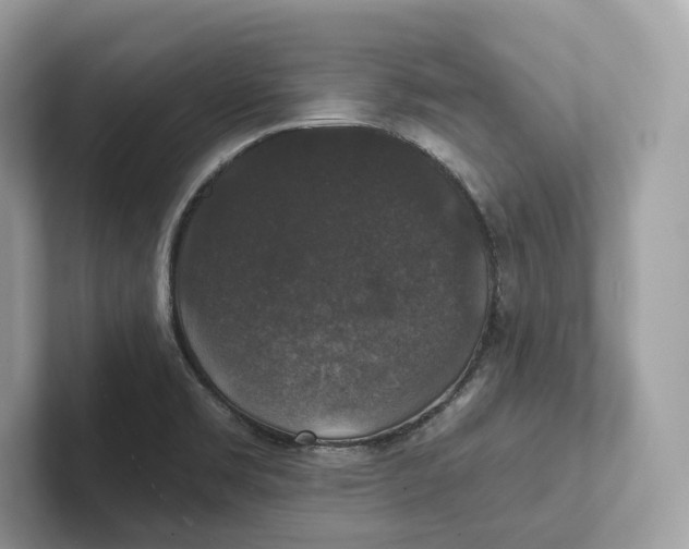 X0000101451469200807280929