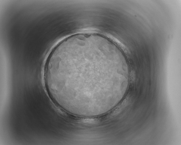 X0000101451470200807280929