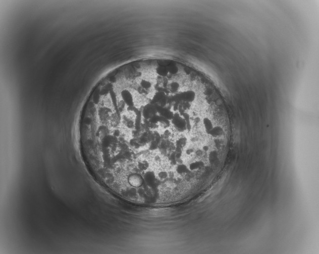 X0000101451471200807280929