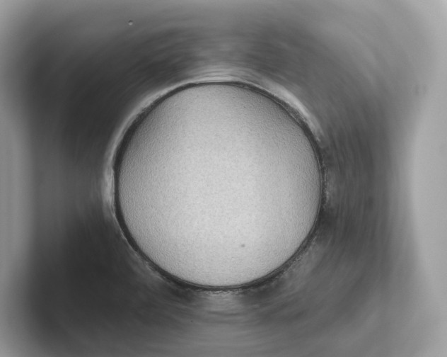 X0000101451472200807280929