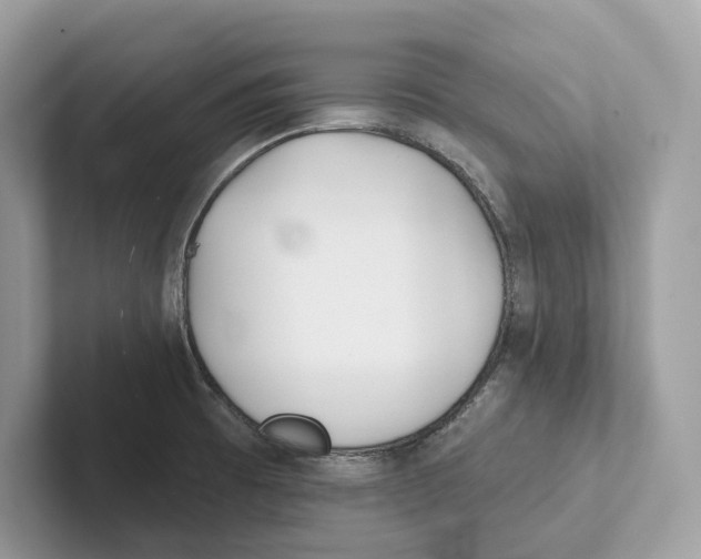 X0000101451473200807280929