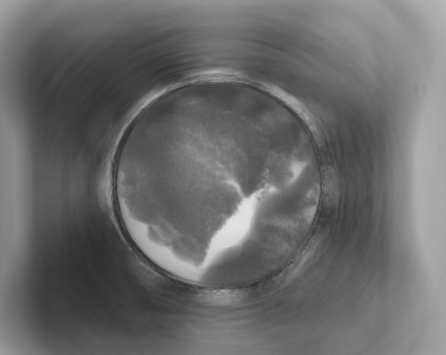 X0000101451474200807280929