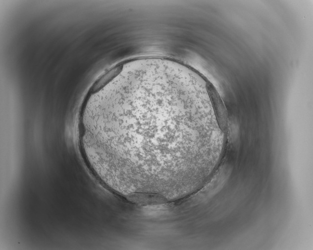 X0000101451477200807280929