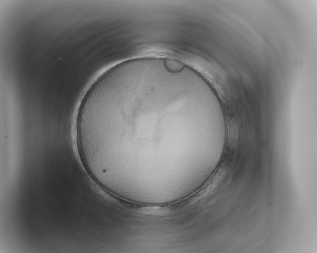 X0000101451478200807280929