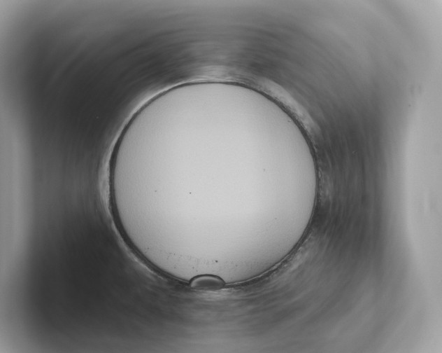 X0000101451479200807280929