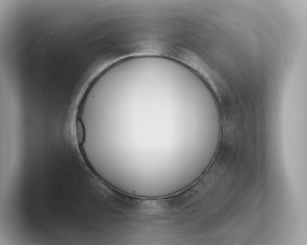 X0000101451480200807280929