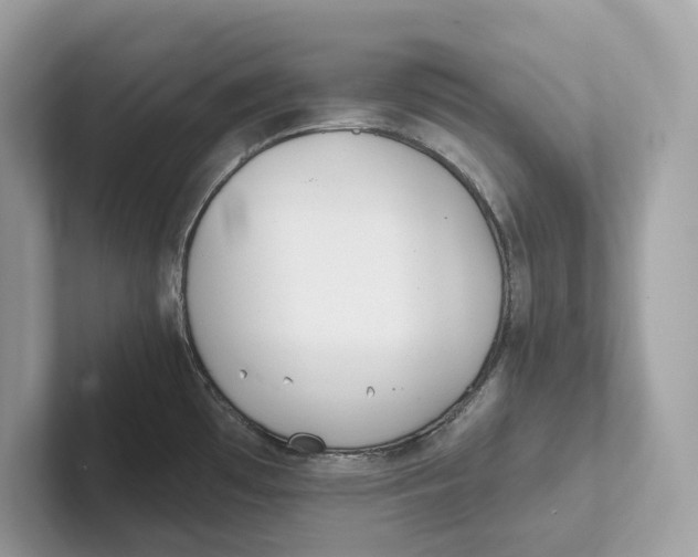 X0000101451481200807280929