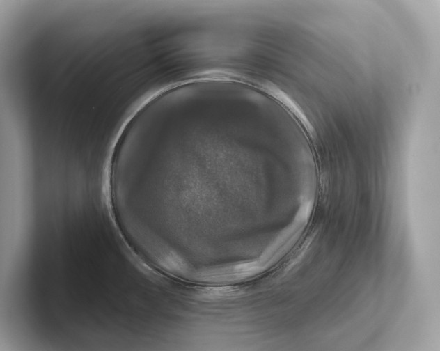 X0000101451482200807280929