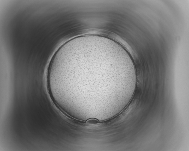 X0000101451483200807280929