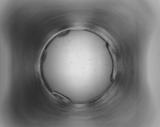 X0000101451484200807280929