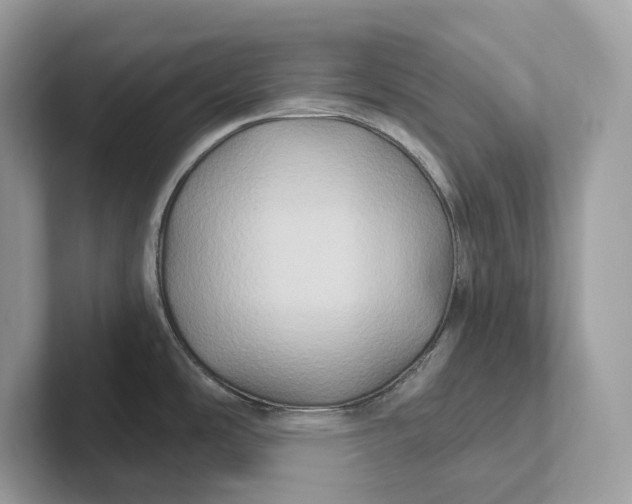 X0000101451486200807280929