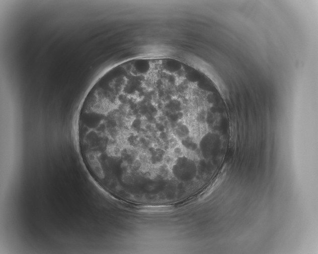 X0000101451487200807280929