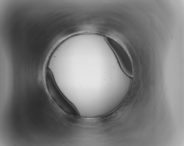 X0000101451488200807280929