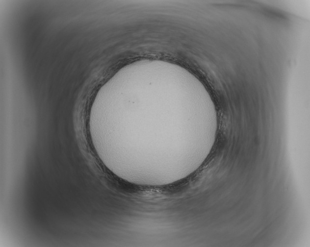 X0000101451489200807280929