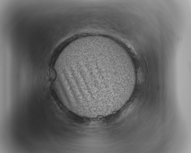 X0000101451494200807280929