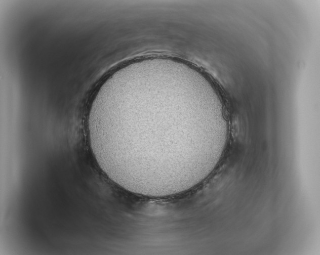 X0000101451496200807280929