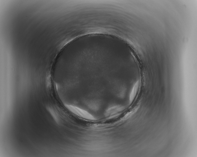 X0000101451497200807280929