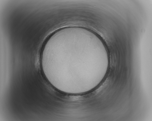 X0000101451498200807280929